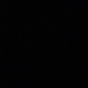 Meet your Posher, Daisy